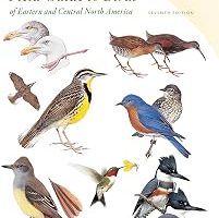 Peterson Field Guide To Birds Of Eastern & Central North America, Seventh Ed. — %20 İndirim | Amazon TR Fırsatı