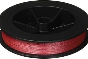 Power Pro Spectra Angelschnur aus Faser, geflochten — %60 İndirim | Amazon TR Fırsatı