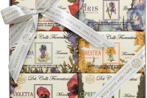 Nesti Dante Dei Colli Fiorentini Sabun Seti 150 gr *6 — %30 İndirim | Amazon TR Fırsatı