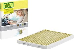 MANN-FILTER Kabin Filtresi FP 2243 (Fiat) — %25 İndirim | Amazon TR Fırsatı