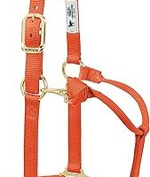 Adjustable Horse Halter — %78 İndirim | Amazon TR Fırsatı