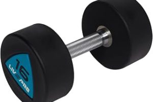 Livepro LP8002 16 kg Poliüretan Dambıl — %30 İndirim | Amazon TR Fırsatı
