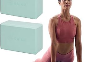 Gaiam Yogablocke Yoga Block — %57 İndirim | Amazon TR Fırsatı