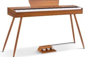 Donner DDP-80 E-Piyano 88 tuşlu ağırlıklı piyano, çekiç mekanizması II, ev dijital piyanoları ayaklı tam boy klavye, üç kat pedal, USB Midi ve kulaklık bağlantısı — %22 İndirim | Amazon TR Fırsatı