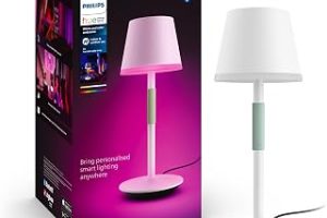Philips Hue GO Belle Taşınabilir Masa Lambası – Beyaz – 25.000 Saat Ampul Kullanım Ömrü — %20 İndirim | Amazon TR Fırsatı