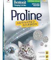 Proline Aktif Karbonlu Topaklanan Kedi Kumu 10 Lt — %24 İndirim | Amazon TR Fırsatı