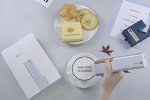 EVEBOT Baskı Kalemi Mini Elde Taşınabilir Kahve Baskı, Taşınabilir Mürekkep Püskürtmeli Yazıcı, El Gıda Güvenliği, Gıda Sınıfı Yiyecek Yazıc — %30 İndirim | Amazon TR Fırsatı