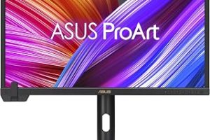 ASUS ProArt PA24US 24 İnç 4K DCI-P3 USB-C Profesyonel Monitör — %38 İndirim | Amazon TR Fırsatı