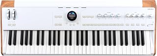 Arturia AstroLab 61 Sahne Klavyesi (Stage Keyboard) – 61 Tuş Yarı Ağırlıklı, 34 Enstrüman & 1.300+ Ses, 10 Ses Motoru, Analog Lab Pro Dahil