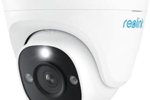 Reolink P334 Dome IP Güvenlik Kamerası İç ve Dış Mekan 3840 — %65 İndirim | Amazon TR Fırsatı