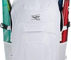 Rawlings | Franchise 2.0 Player’s sırt çantası | beyzbol/softball | Rec/Travel | çoklu stiller — %66 İndirim | Amazon TR Fırsatı