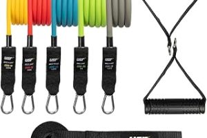 USR CORD-BS Serisi Direnç Bandı — %20 İndirim | Amazon TR Fırsatı