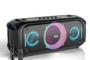 Blaupunkt PL700 Mikrofonlu Uzaktan Kumandalı Kablosuz Bluetooth Speaker Hoparlör Siyah — %30 İndirim | Amazon TR Fırsatı