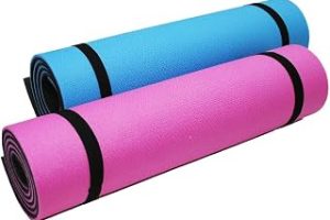 8MM PLATES YOGA MAT MİNDERİ 55X170CM — %22 İndirim | Amazon TR Fırsatı