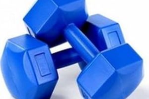 8KG PLASTİK KÖŞELİ DAMBIL 2 PARÇA — %27 İndirim | Amazon TR Fırsatı