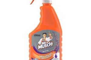 🛍️ Mr Muscle Advanced Power Virüs Etkili Lavanta Kokulu Mutfak Spreyi 750 mL — %34 İndirim