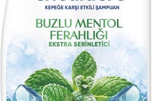 🚨 Head&Shoulders Buzlu Menthol Ferahlığı Şampuan 330 Mililitre — %20 İndirim
