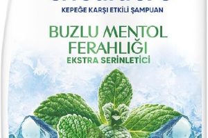 🛒 2 Adet Alımda! Head&Shoulders Buzlu Menthol Ferahlığı Şampuan 330 Mililitre — %45 İndirim