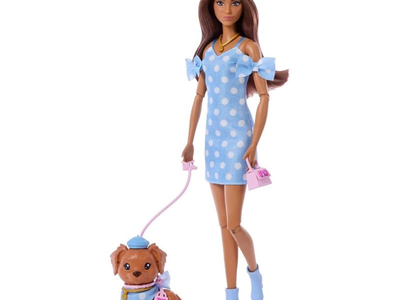 🛍️ Barbie® Uyumlu Dostlar   Puantiye Teması