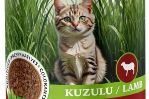 🚨 Famsy Yetişkin Yaş Kedi Maması Kuzulu 400 gr