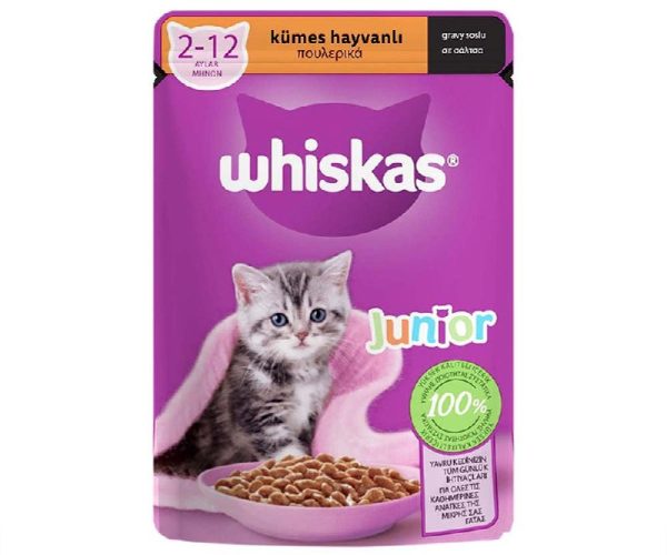 🚨 Whiskas Kümes Hayvanlı Yavru Kedi Yaş Mama 85 G Tekli Paket — %50 İndirim