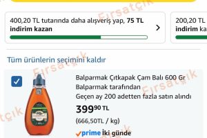 Balparmak Çıtkapak Çam Balı 600 gr
