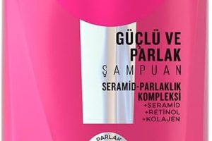 🚨 Elidor Saç Bakım Şampuanı, Güçlü ve Parlak, 650 ml — %21 İndirim