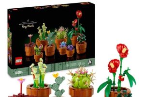 LEGO Botanicals Minik Bitkiler 10329 – Yetişkinler için Terakota Renkli Saksıda Kurak, Tropik ve Etçil Türlerde 9 Bitki İçeren Yapay Çiçek Modeli Yapım Seti, Sevgililer Günü Hediyesi Fikri (758 Parça)