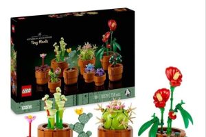 LEGO Botanicals Minik Bitkiler 10329 – Yetişkinler için Terakota Renkli Saksıda Kurak, Tropik ve Etçil Türlerde 9 Bitki İçeren Yapay Çiçek Modeli Yapım Seti, Sevgililer Günü Hediyesi Fikri (758 Parça)