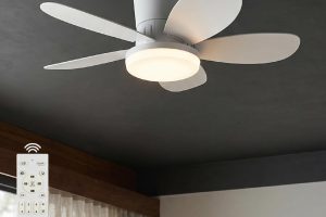 🛒 64cm Modern Goes Uzaktan Kumandalı 5 Kanatlı Tavan Vantilatörü Ve Led Lamba Işık 42W Beyaz-Beyaz — %51 İndirim