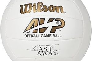 Wilson MR Wilson Castaway Voleybol — %25 İndirim | Amazon TR Fırsatı