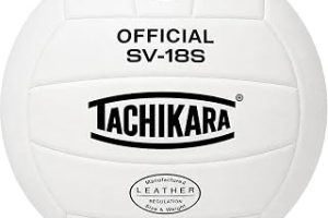 Tachikara Volleyball aus Verbundleder in institutioneller Qualitt, Knigswei — %38 İndirim | Amazon TR Fırsatı