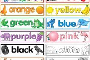 Teacher Created Resources Islah kaynaklarınızdan renkler Headliner (4482) — %45 İndirim | Amazon TR Fırsatı
