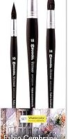 Escoda 8607 – 1 – Fabio Cembranelli fırça, Set 3 — %23 İndirim | Amazon TR Fırsatı