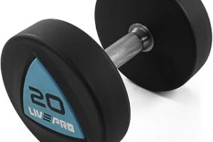 Livepro LP8002 20 kg Poliüretan Dambıl — %30 İndirim | Amazon TR Fırsatı