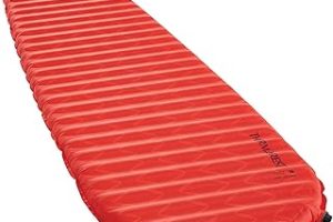 Therm-a-Rest ProLite Apex Ultra Hafif Kendinden Şişen Sırt Çantası Pedi Kanat Kilidi Valfli — %21 İndirim | Amazon TR Fırsatı