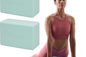 Gaiam Yogablocke Yoga Block — %42 İndirim | Amazon TR Fırsatı