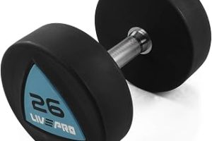 Livepro LP8002 26 kg Poliüretan Dambıl — %24 İndirim | Amazon TR Fırsatı