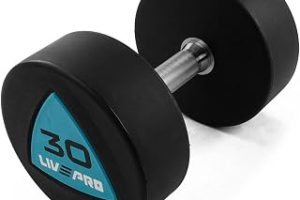 Livepro LP8002 30 kg Poliüretan Dambıl — %24 İndirim | Amazon TR Fırsatı