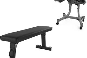 USR Standlı Ayarlanabilir Dambıl + Düz Bench Seti — %30 İndirim | Amazon TR Fırsatı