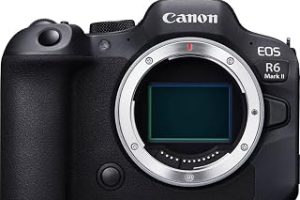 Canon EOS R6 Mark II sistem kamerası – aynasız tam format kamera (akıllı otomatik odaklama ve motif tanıma, 4K video kamera, saniyede 40 kare, WiFi, Bluetooth, KI kontrolü) — %22 İndirim | Amazon TR Fırsatı