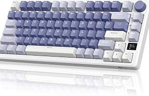 RK ROYAL KLUDGE M75 oyun klavyesi kablosuz %75 TKL mekanik klavye RGB 2,4 GHz kablosuz/Bluetooth/USB-C QWERTZ OLED akıllı ekran ve düğmeli Hot Swappable kahverengi şalter, lavanta moru — %25 İndirim | Amazon TR Fırsatı