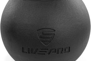 Livepro LP8047 6 Kg Ballbell Dambıl — %31 İndirim | Amazon TR Fırsatı