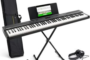Alesis Recital Play 88 Tuşlu Piyano Klavye Paketi — %23 İndirim | Amazon TR Fırsatı