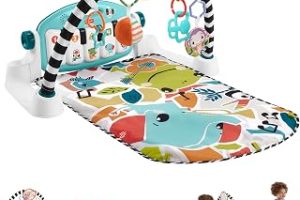 Fisher-Price Bebekler için Yaşa Göre Gelişim özellikli ve Türkçe dil destekli mavi Fisher-Price Neşeli Hayvanlar Müzikli oyun minderi ve piyanolu jimnastik merkezi, taşınabilir müzik oyuncağı, HWY49 — %23 İndirim | Amazon TR Fırsatı