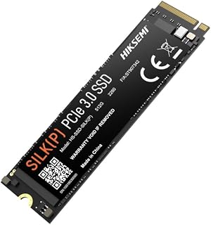 Hiksemi SSD Silk(p) M.2 Nvme 512 GB, Maksimum Sıralı Okuma Hızı: 2500 MB/sn,Maksimum Sıralı Yazma Hızı: 1025 MB/sn,Maksimum Rastgele 4K Okuma (IOPS): 55K,Maksimum Rastgele 4K Yazma (IOPS): 225K