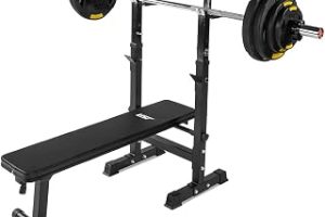 USR Patara-80 Basic Bench-80 Kg Ağırlık Seti — %20 İndirim | Amazon TR Fırsatı