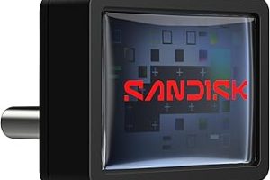 SANDISK 128 GB Extreme Fit USB-C Flash Sürücü – 400 MB/sn’ye kadar Okuma hızı, USB 3.2 Gen 1, USB Type-C – Tak ve Kal Depolama – Siyah – SDCZ530-128G-G46 — %39 İndirim | Amazon TR Fırsatı