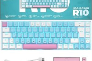 R10 Mekanik Oyuncu Klavyesi Full Anti-Ghosting Hot Swap Red Switch Buz Mavisi Işıklandırma (TürkçeQ) — %27 İndirim | Amazon TR Fırsatı