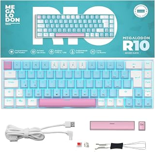 R10 Mekanik Oyuncu Klavyesi Full Anti-Ghosting Hot Swap Red Switch Buz Mavisi Işıklandırma (TürkçeQ)